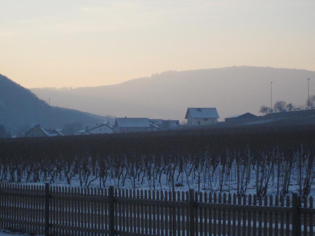 Moselschoen Das Ferienhaus Brodenbach Rom bilde