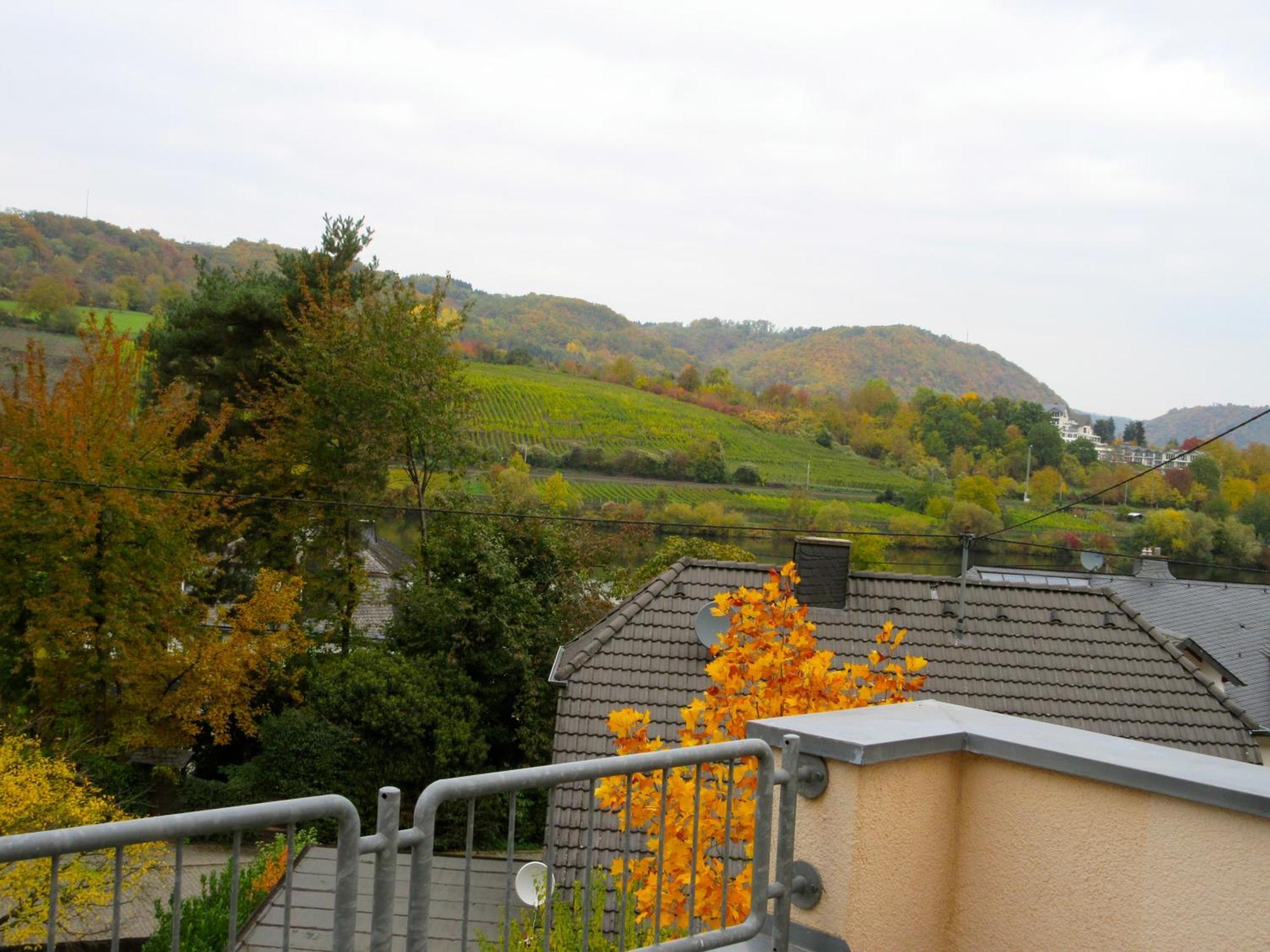 Moselschoen Das Ferienhaus Brodenbach Rom bilde