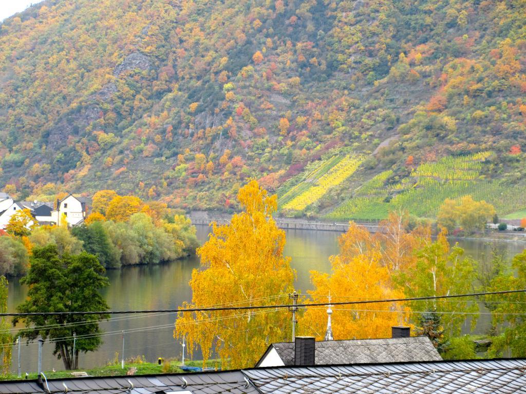 Moselschoen Das Ferienhaus Brodenbach Rom bilde